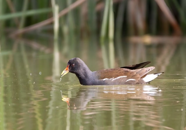 Miljøvenlige alternativer til traditionel båndvaran